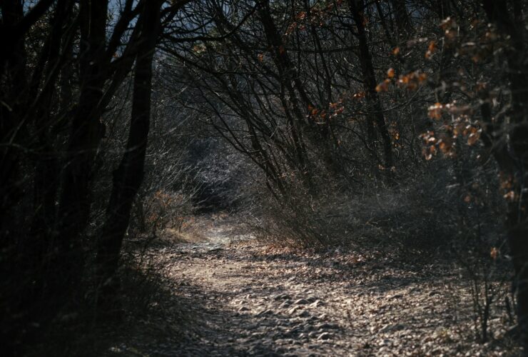 Rejtett kincsek a Bükkben – 5 kevésbé ismert túracélpont